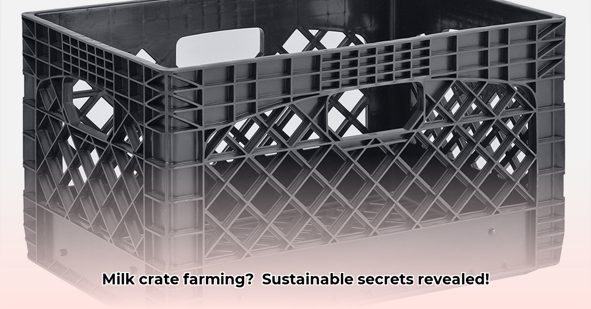milk-crates-tractor-supply